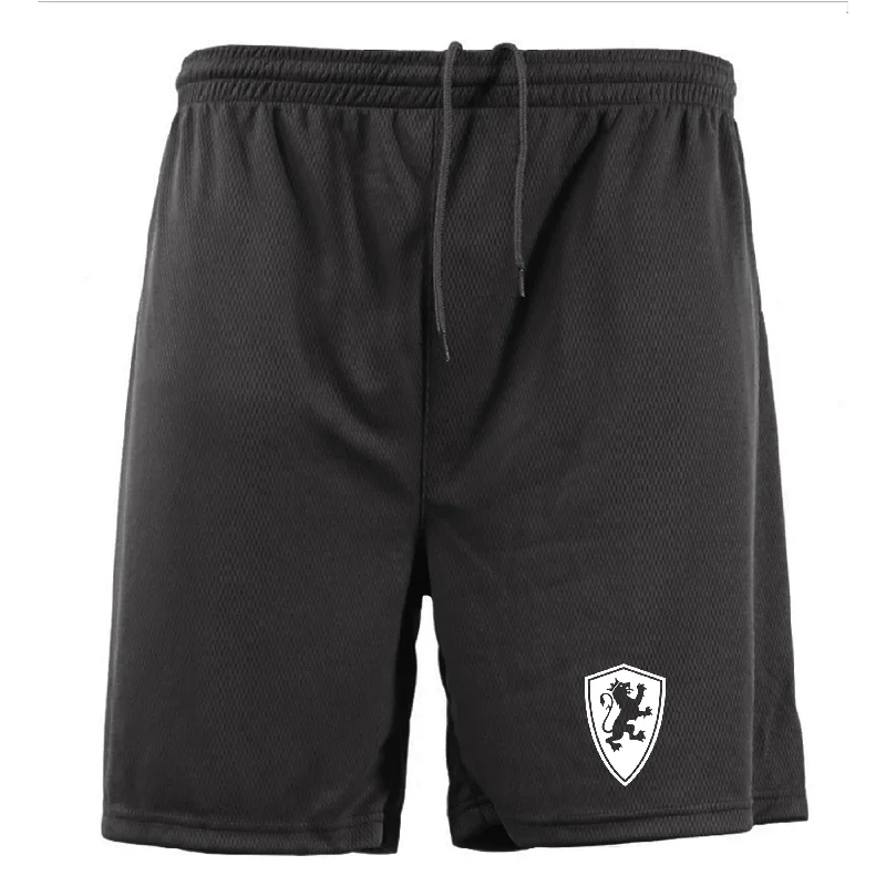 Black Mesh Shield Shorts